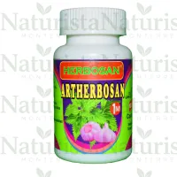Artherbosan 1m cápsulas
