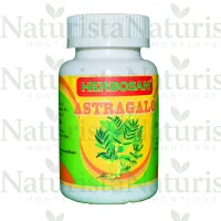 Astragalo cápsulas Astragalo cápsulas