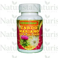 Cardo mariano con hoja del sapo cápsulas