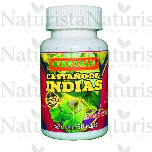 Castaño de indias cápsulas