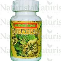 Doradilla c谩psulas Doradilla c谩psulas