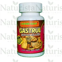 Gastrul c谩psulas Gastrul c谩psulas